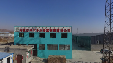 企業(yè)視頻